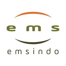 emsindo